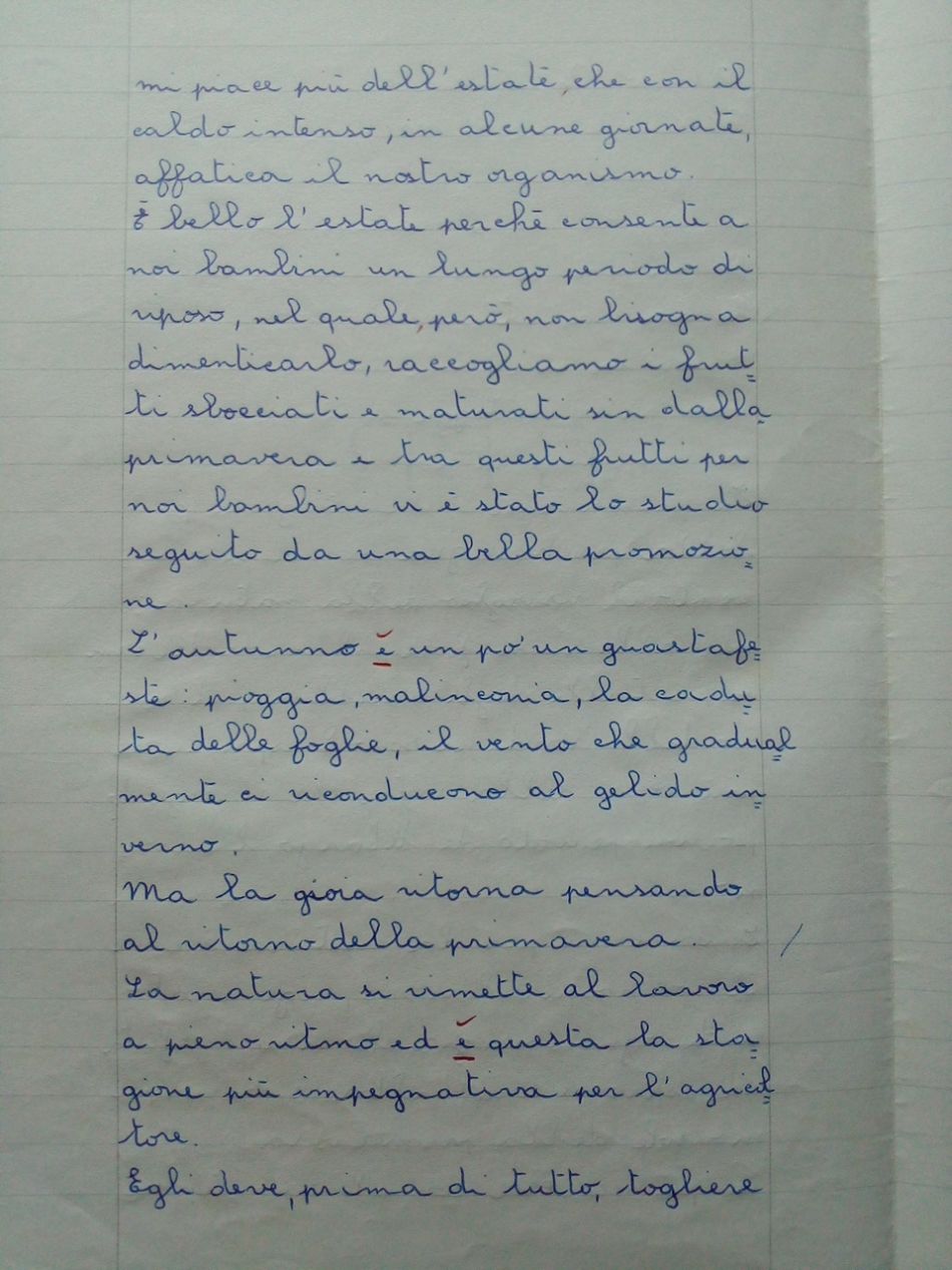 Pagella San Giuseppe