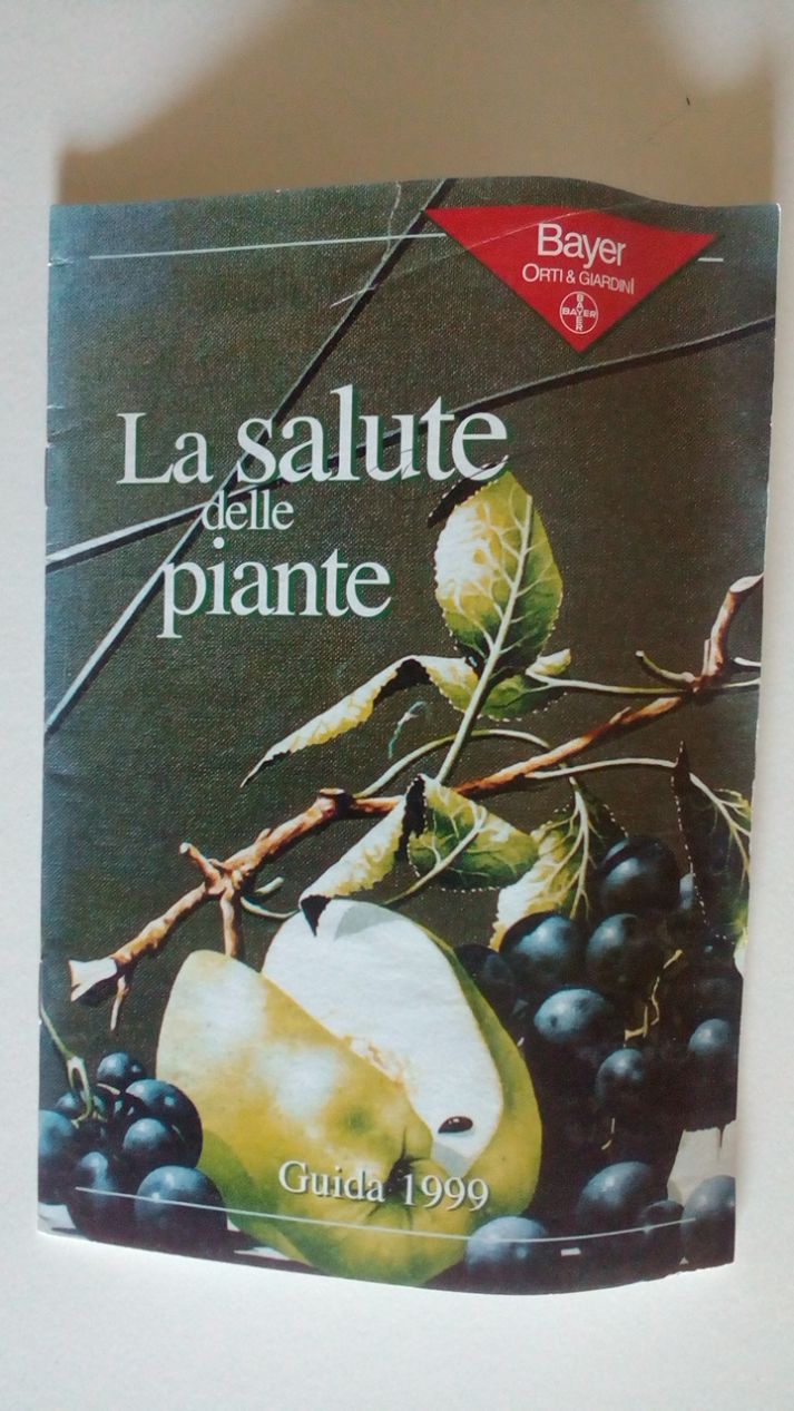 LA SANTA CROCIATA IN ONORE DI SAN GIUSEPPE