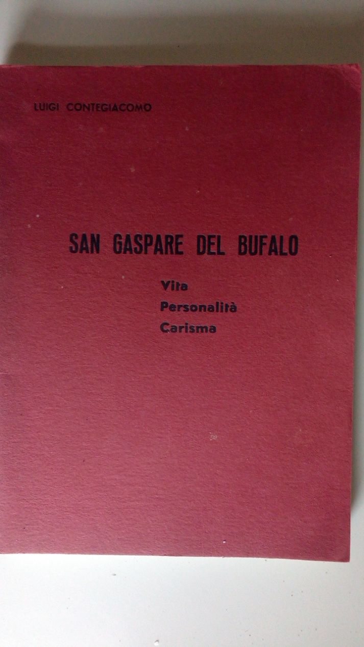 S. TERESA DEL BAMBINO GESU� - BREVI CENNI ILLUSTRATI